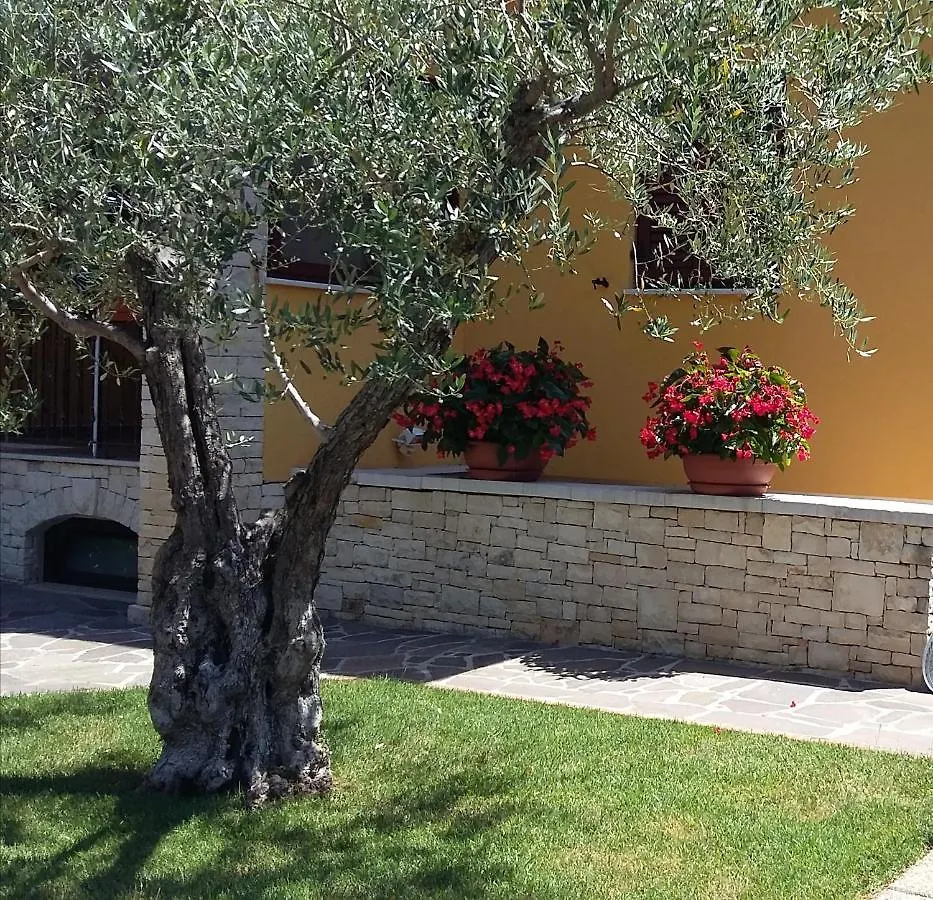 Studio Apartments Pinia-Marina Porec